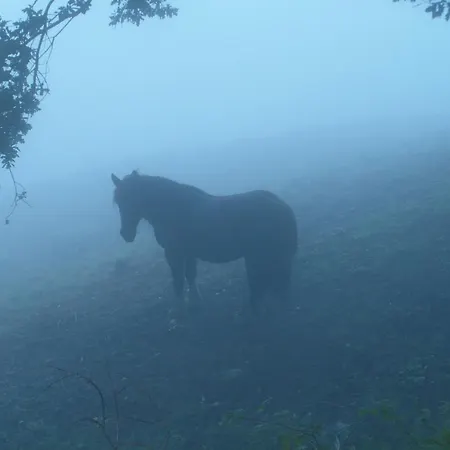 Kır Evi Etxeberri Landa Etxea