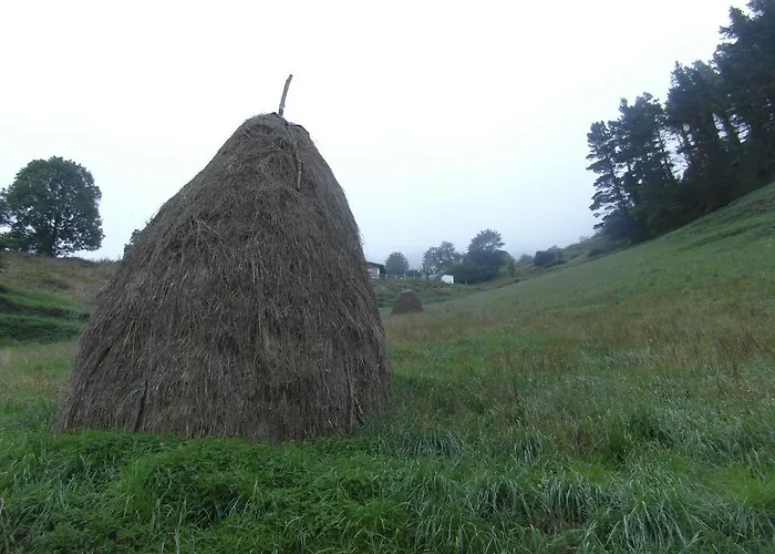 乡村民宿 Etxeberri Landa Etxea *