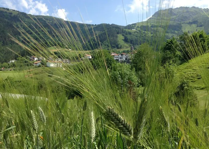 Etxeberri Landa Etxea 乡村民宿