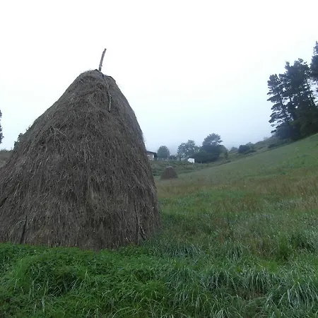 Landhuis Etxeberri Landa Etxea *